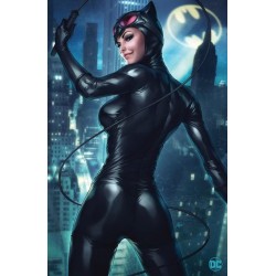 CATWOMAN UNCOVERED -1 (ONE...