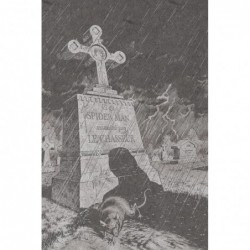 SPIDER-MAN : LA DERNIERE...