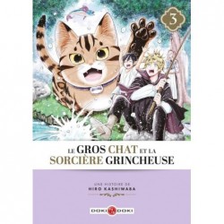 LE GROS CHAT ET LA SORCIERE...