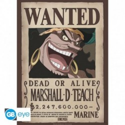 ONE PIECE - Poster «Wanted...