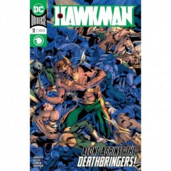HAWKMAN -11