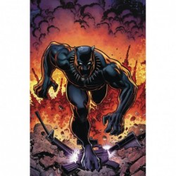 RISE OF BLACK PANTHER -6...