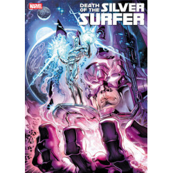 DEATH OF THE SILVER SURFER...