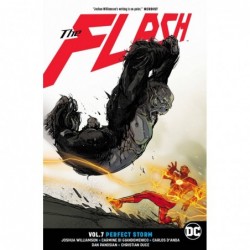 FLASH TP VOL 07 PERFECT STORM