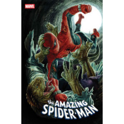AMAZING SPIDER-MAN -13 LEE...