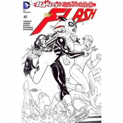 FLASH -47 COVER D VARIANT...