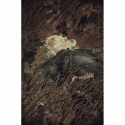 WITCHER FADING MEMORIES -2...