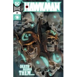 HAWKMAN -26