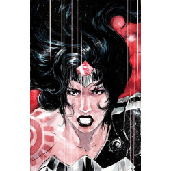 ABSOLUTE WONDER WOMAN -14...