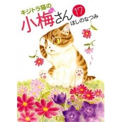 PLUM, UN AMOUR DE CHAT T17