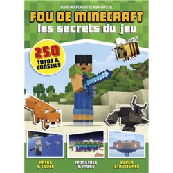 FOU DE MINECRAFT