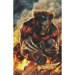 ULTIMATE UNIVERSE N08...