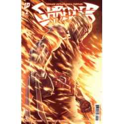 TEENAGE MUTANT NINJA...