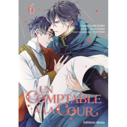 UN COMPTABLE A LA COUR -...