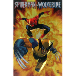 SPIDER-MAN & WOLVERINE T01...