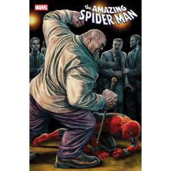 AMAZING SPIDER-MAN -16 LEE...