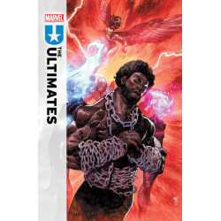 ULTIMATES -21