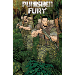 PUNISHER & FURY MAX BY...