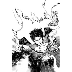 ABSOLUTE SUPERMAN -16 CVR D...