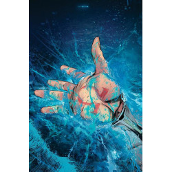 AQUAMAN -14 CVR A JOHN TIMMS