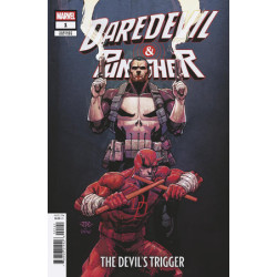 DAREDEVIL/PUNISHER: THE...