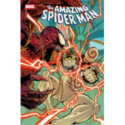 AMAZING SPIDER-MAN 24 [DS]