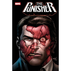 PUNISHER -2