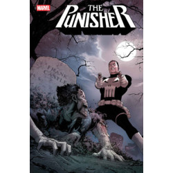 PUNISHER -3