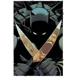 ABSOLUTE BATMAN -19 CVR A...