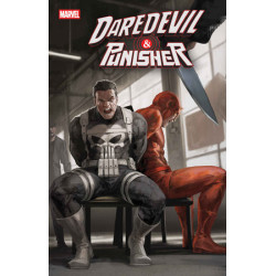 DAREDEVIL/PUNISHER: THE...
