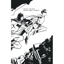 DC DELUXE - BATMAN & ROBIN...