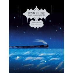 TRAIN DE NUIT DANS LA VOIE...