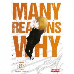 MANY REASONS WHY - TOME 3...
