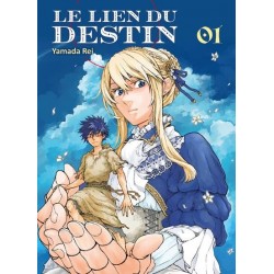 LE LIEN DU DESTIN T01 - VOL01
