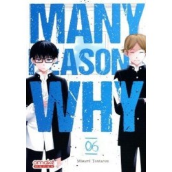 MANY REASONS WHY - TOME 6 (VF)
