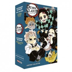 COFFRET DEMON SLAYER...