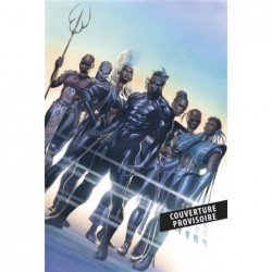 BLACK PANTHER T02 : LA...