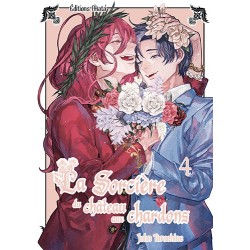 LA SORCIERE DU CHATEAU AUX...