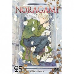 NORAGAMI T25