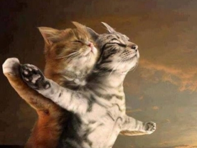 We are the queens of the world ! La VO est là !